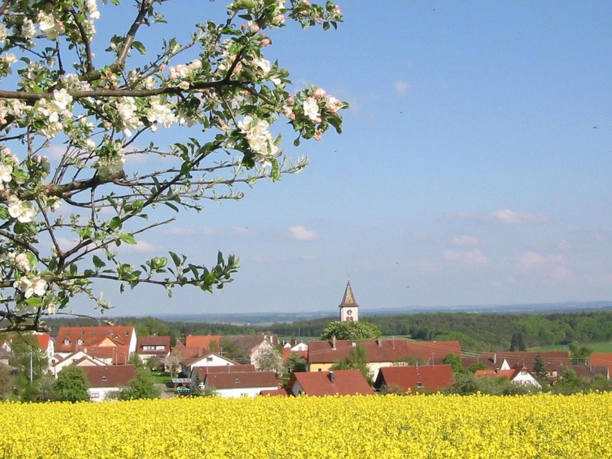 Kleine Auszeit Villa Thalheim  Buitenkant foto